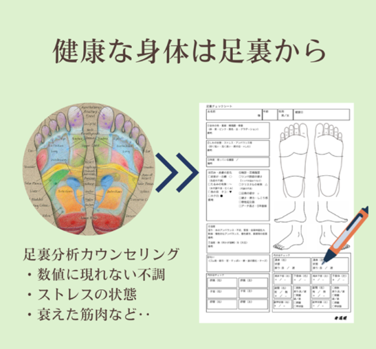 足裏の反射区図と足裏分析チェックシート
